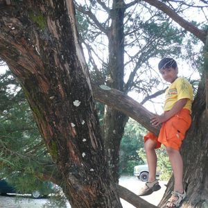 Meet your Posher, Arjun